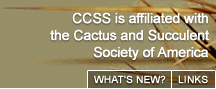 CCSS Bylaws